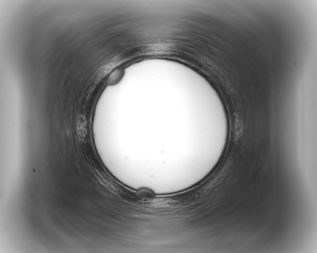 X0000103421449200810031321