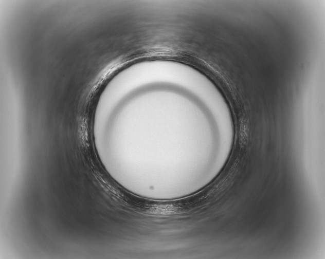 X0000103421455200810031321