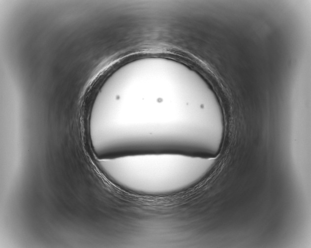 X0000103421456200810031321