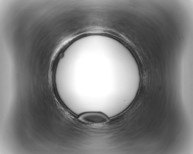 X0000103421464200810031321