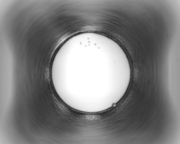 X0000103421465200810031321