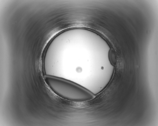X0000103421468200810031321