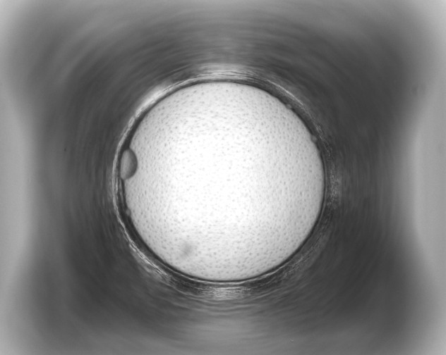 X0000103421471200810031321