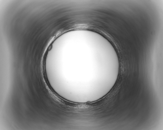 X0000103421475200810031321