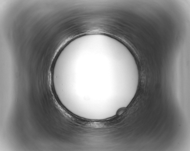 X0000103421476200810031321