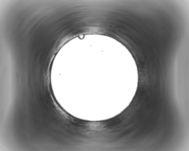 X0000103421479200810031321