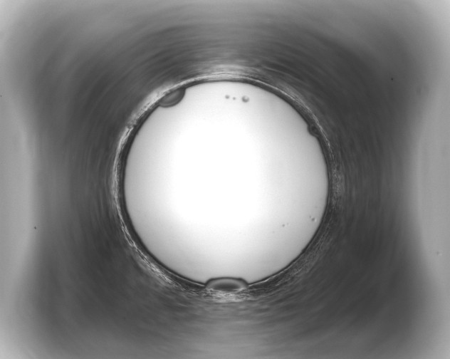 X0000103421480200810031321
