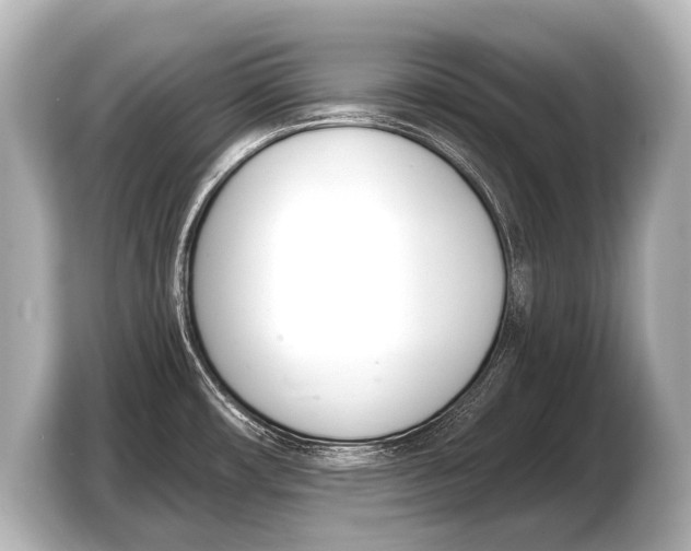 X0000103421482200810031321
