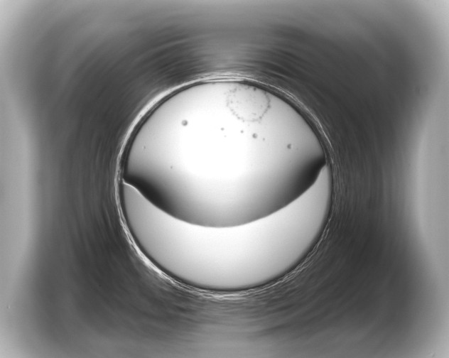 X0000103421484200810031321