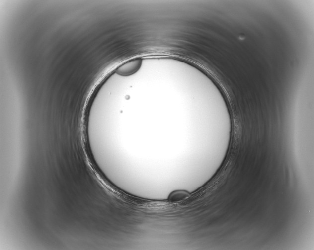 X0000103421485200810031321