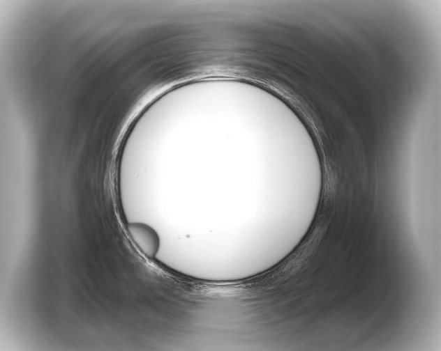 X0000103421486200810031321
