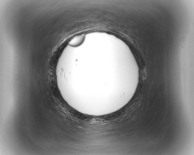 X0000103421496200810031320