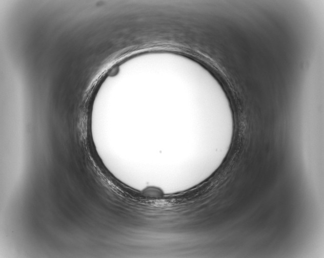 X0000103421504200810031320