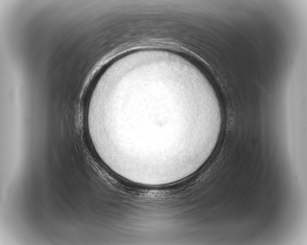 X0000103421506200810031320