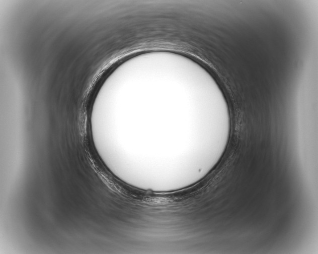 X0000103421507200810031320
