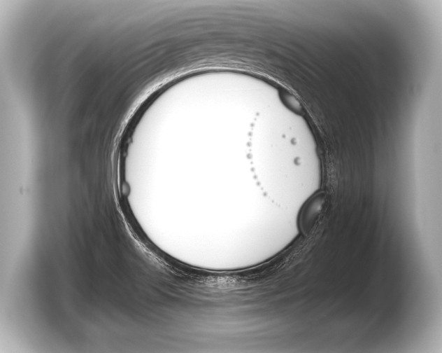 X0000103421515200810031320