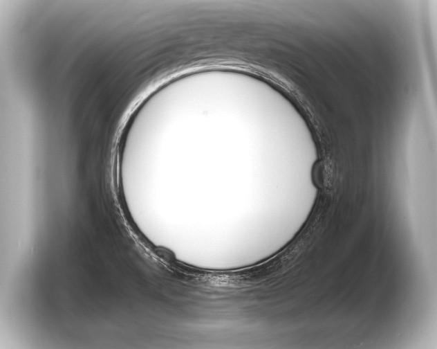 X0000103421520200810031320