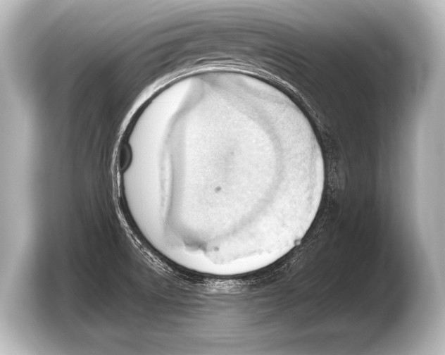 X0000103421522200810031320