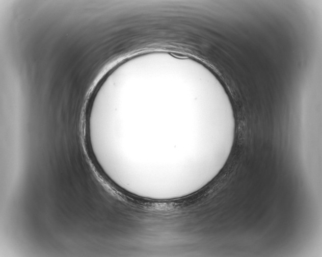 X0000103421523200810031320