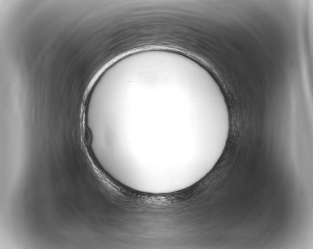 X0000103421524200810031320
