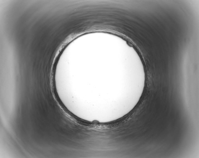 X0000103421525200810031320