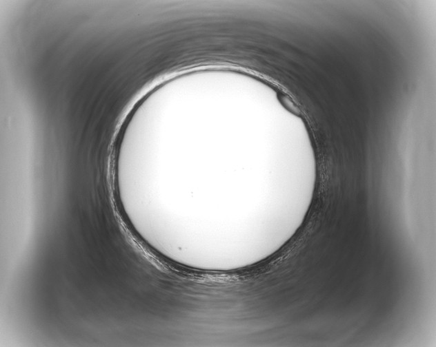 X0000103421526200810031320