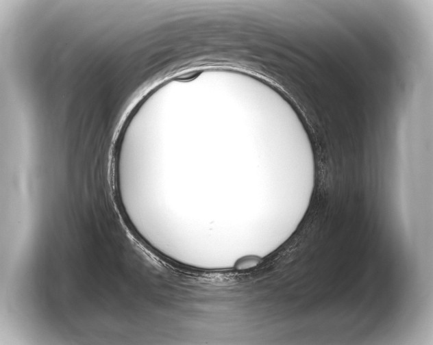 X0000103421527200810031320