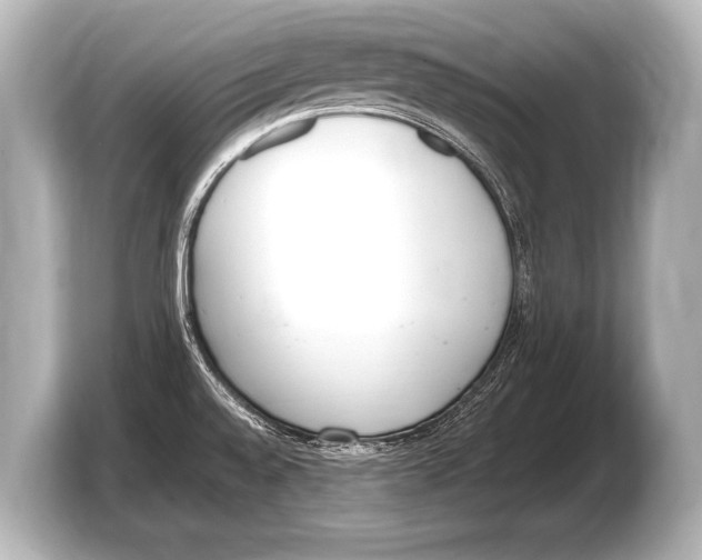 X0000103421528200810031320