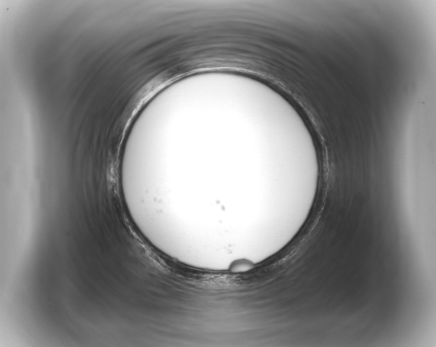 X0000103421529200810031320