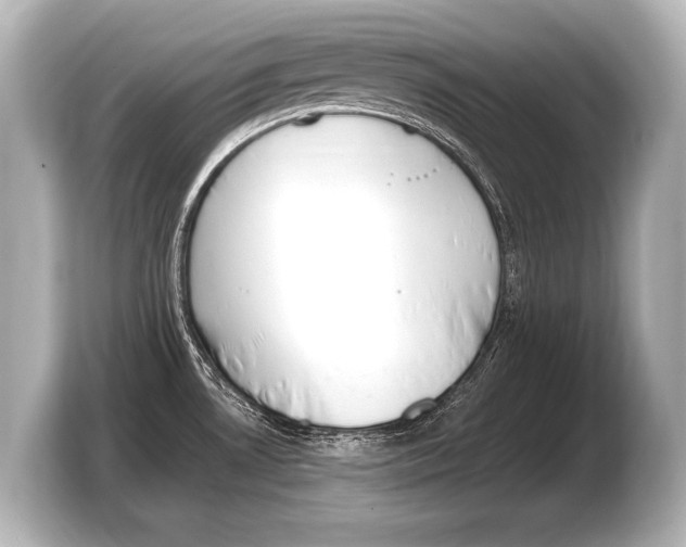 X0000103421530200810031320