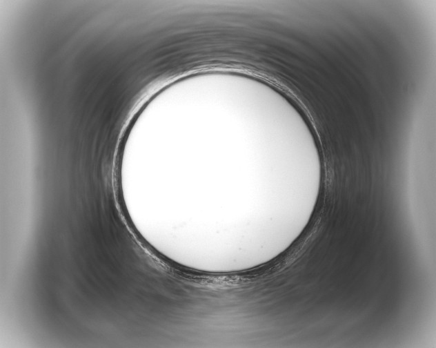 X0000103421533200810031320