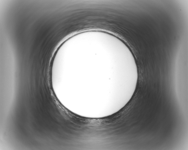 X0000103421534200810031321