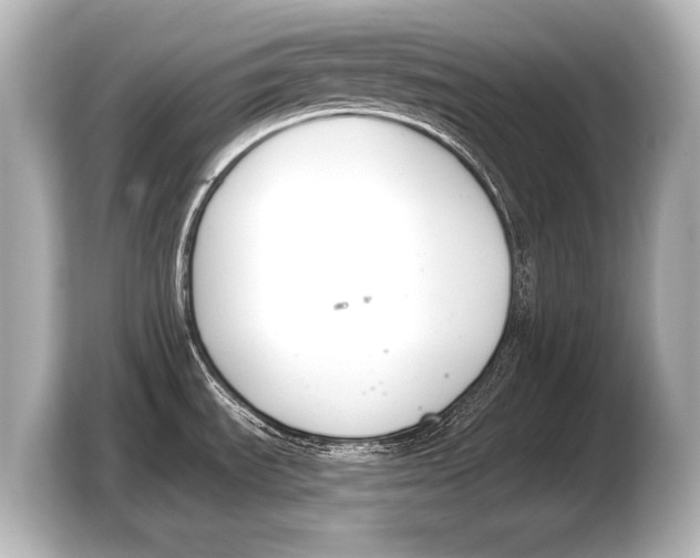 X0000103421535200810031321