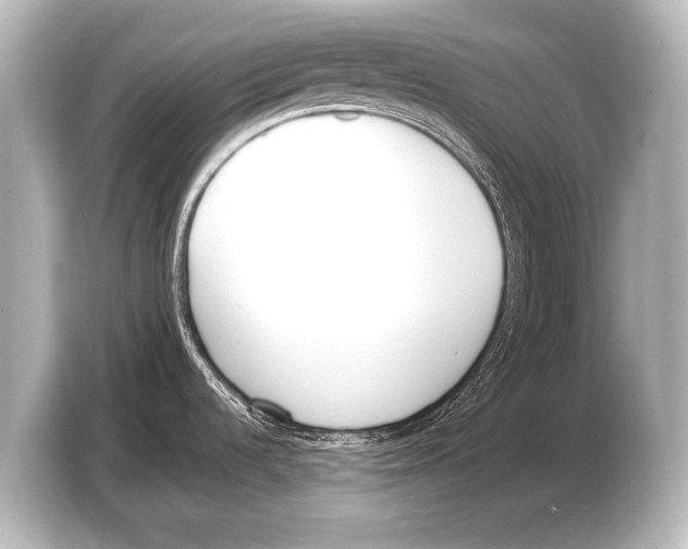 X0000103421536200810031321