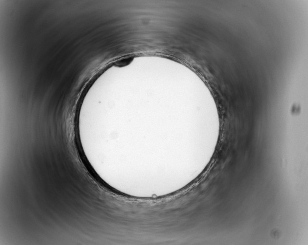 X0000103420002200810101030