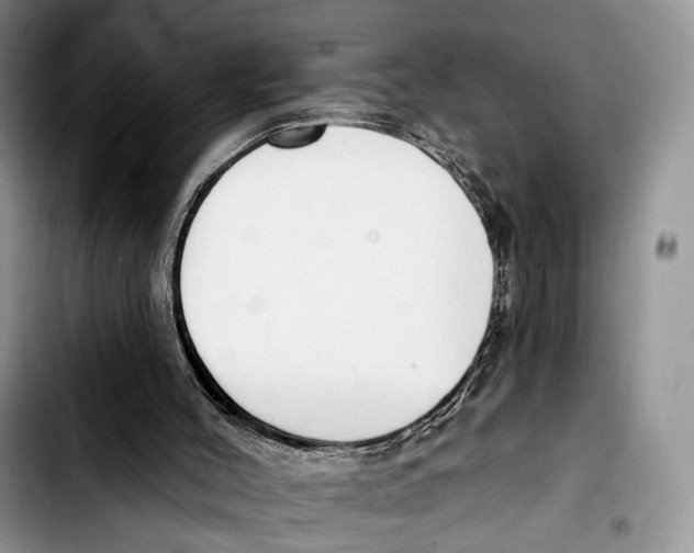 X0000103420004200810101030