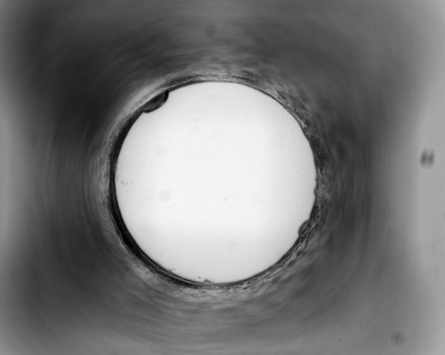 X0000103420005200810101030