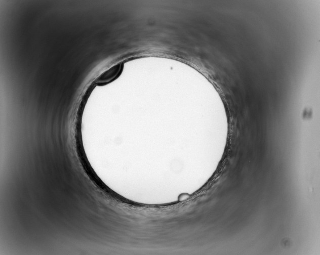 X0000103420007200810101029