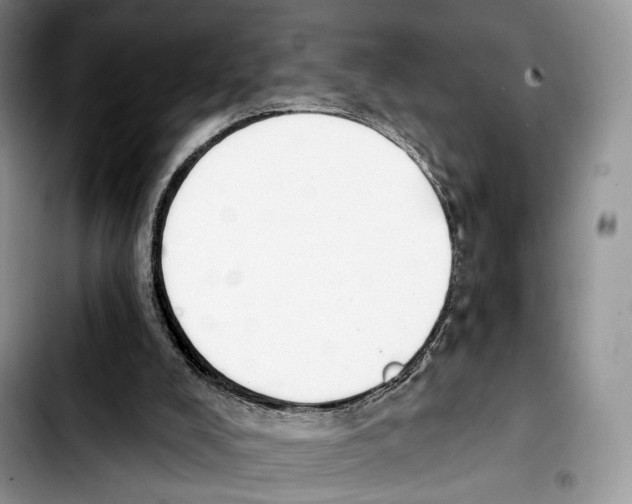 X0000103420008200810101029