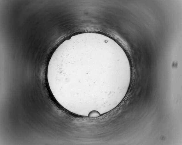 X0000103420009200810101029