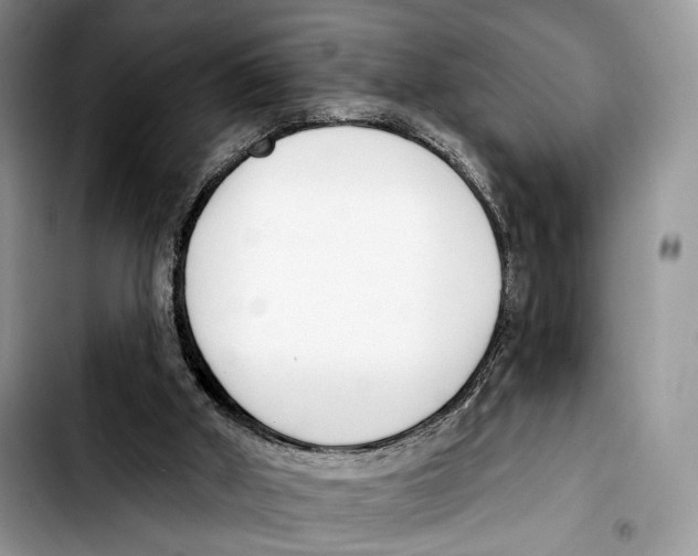 X0000103420010200810101029