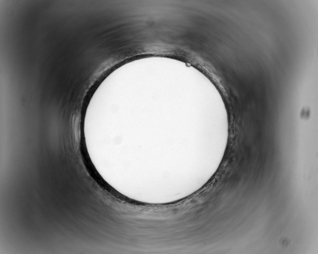X0000103420011200810101029