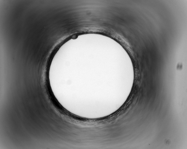 X0000103420012200810101029