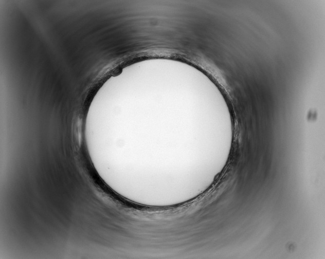 X0000103420013200810101029