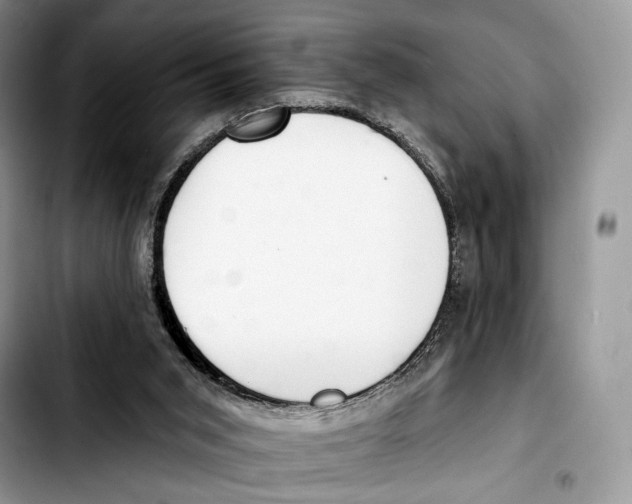 X0000103420015200810101029