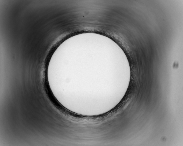 X0000103420016200810101029