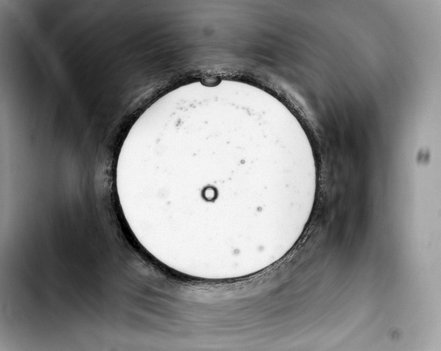 X0000103420017200810101029