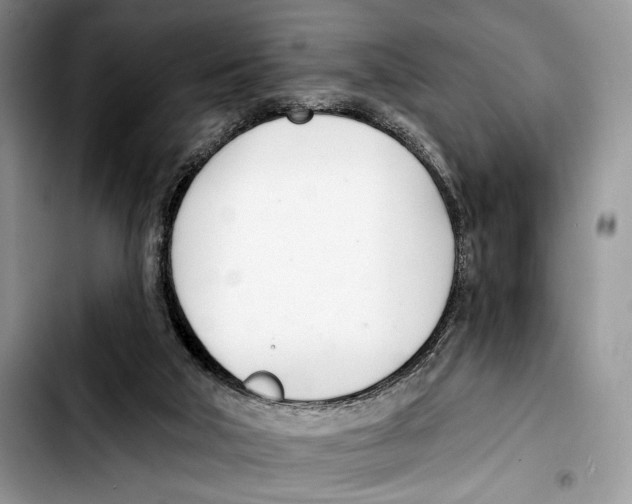X0000103420018200810101029