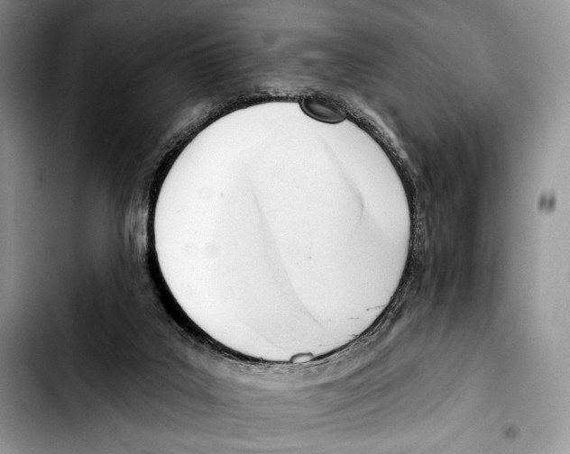 X0000103420019200810101029