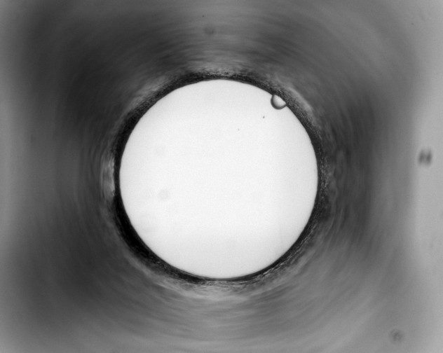 X0000103420020200810101029